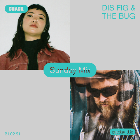 The Bug & Dis Fig, Sunday Mix